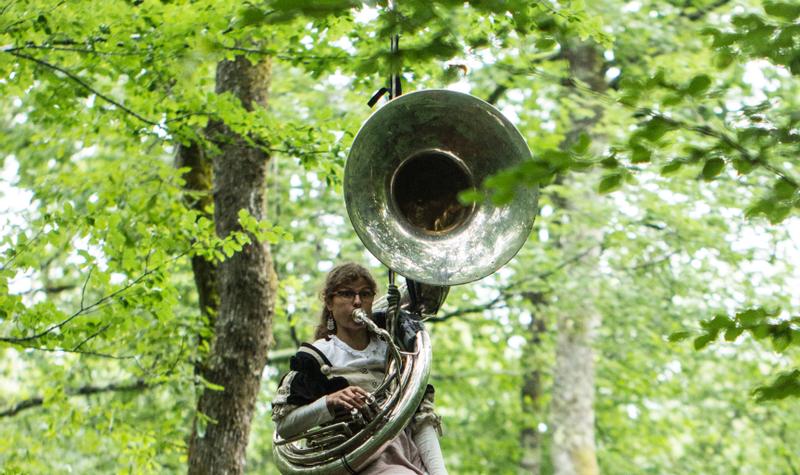 Olive Tree Tuba