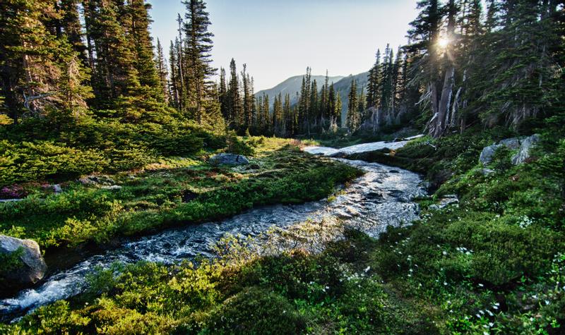 Olympic National Park